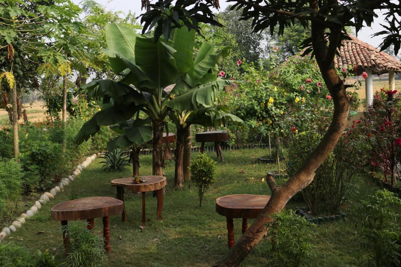 Bardia Eco Friendly Homestay Bardiya Exteriér fotografie