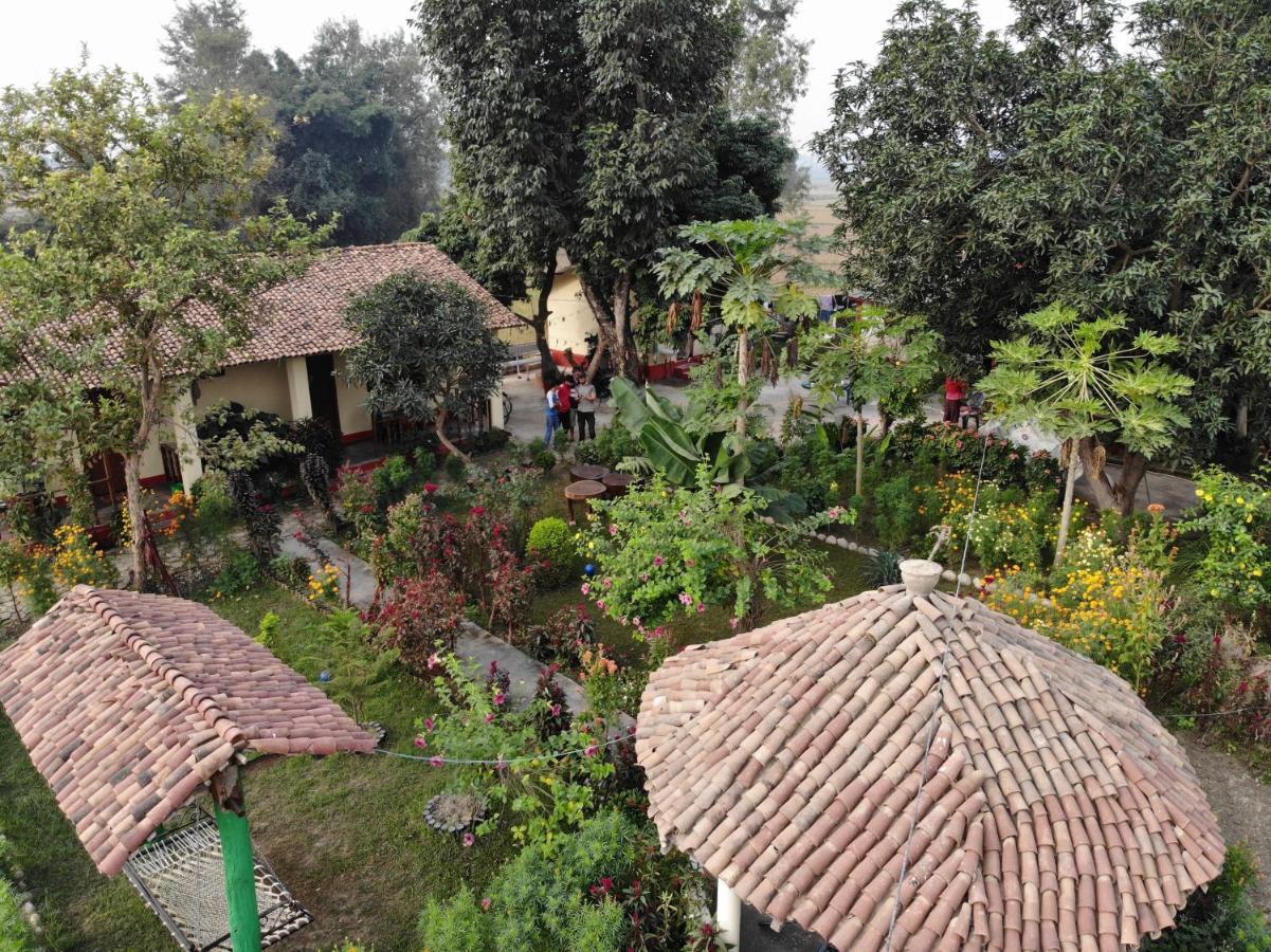 Bardia Eco Friendly Homestay Bardiya Exteriér fotografie